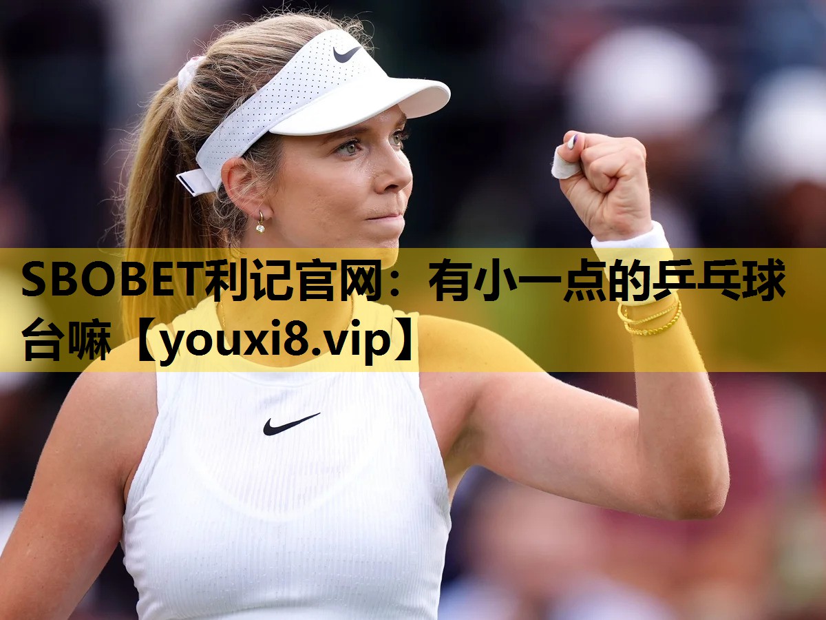 SBOBET利记官网：有小一点的乒乓球台嘛