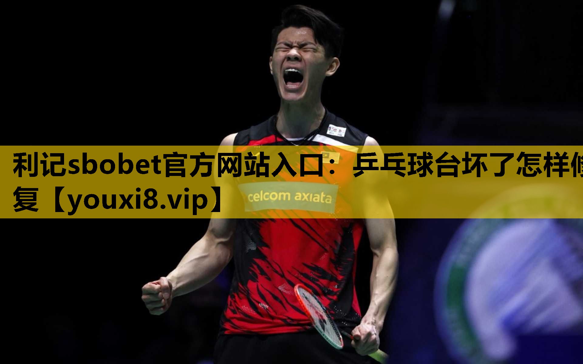 利记sbobet官方网站入口：乒乓球台坏了怎样修复