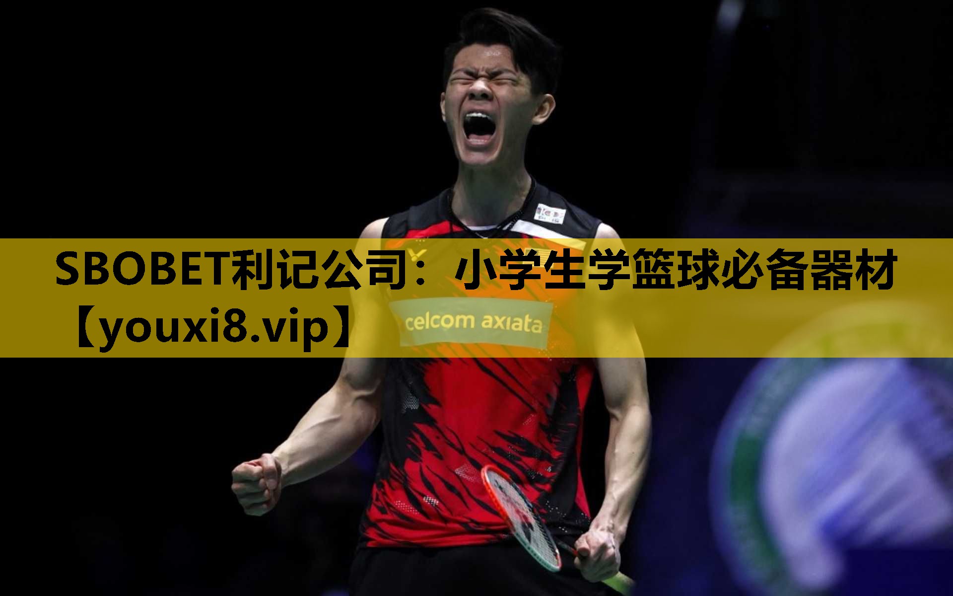 SBOBET利记公司：小学生学篮球必备器材