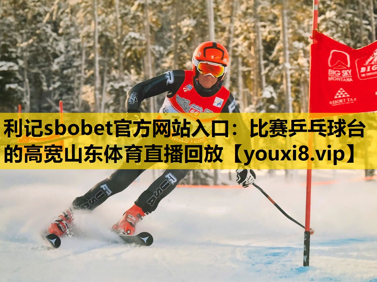 利记sbobet官方网站入口：比赛乒乓球台的高宽山东体育直播回放